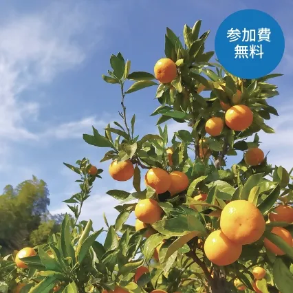 ウインドサーフィンワールドカップ開催記念ウォーク