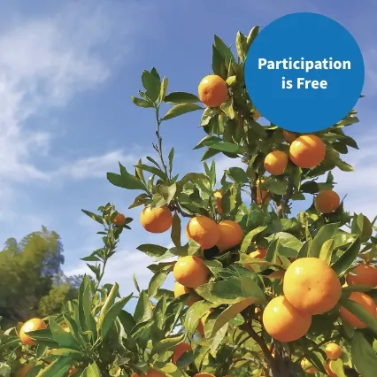 Windsurfing  World Cup commemorative walk